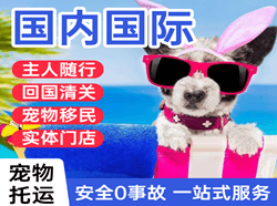 南宁吴圩机场邮寄国际宠物托运 【国